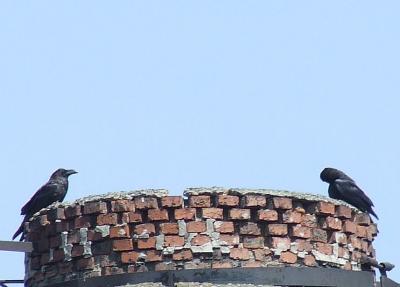 Прикрепленное изображение: gr2.jpg